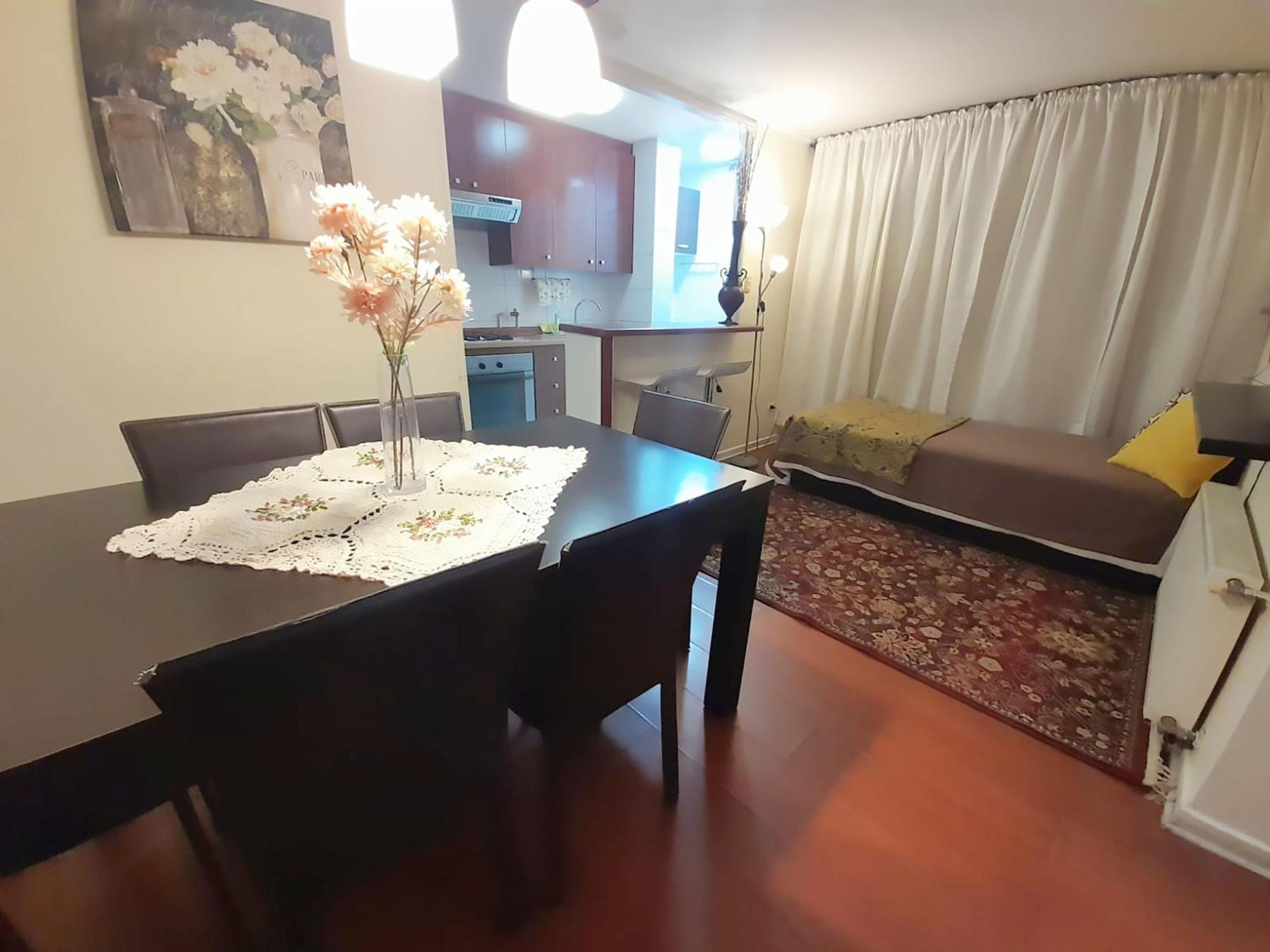 Vip Apartments Chile サンティアゴ エクステリア 写真