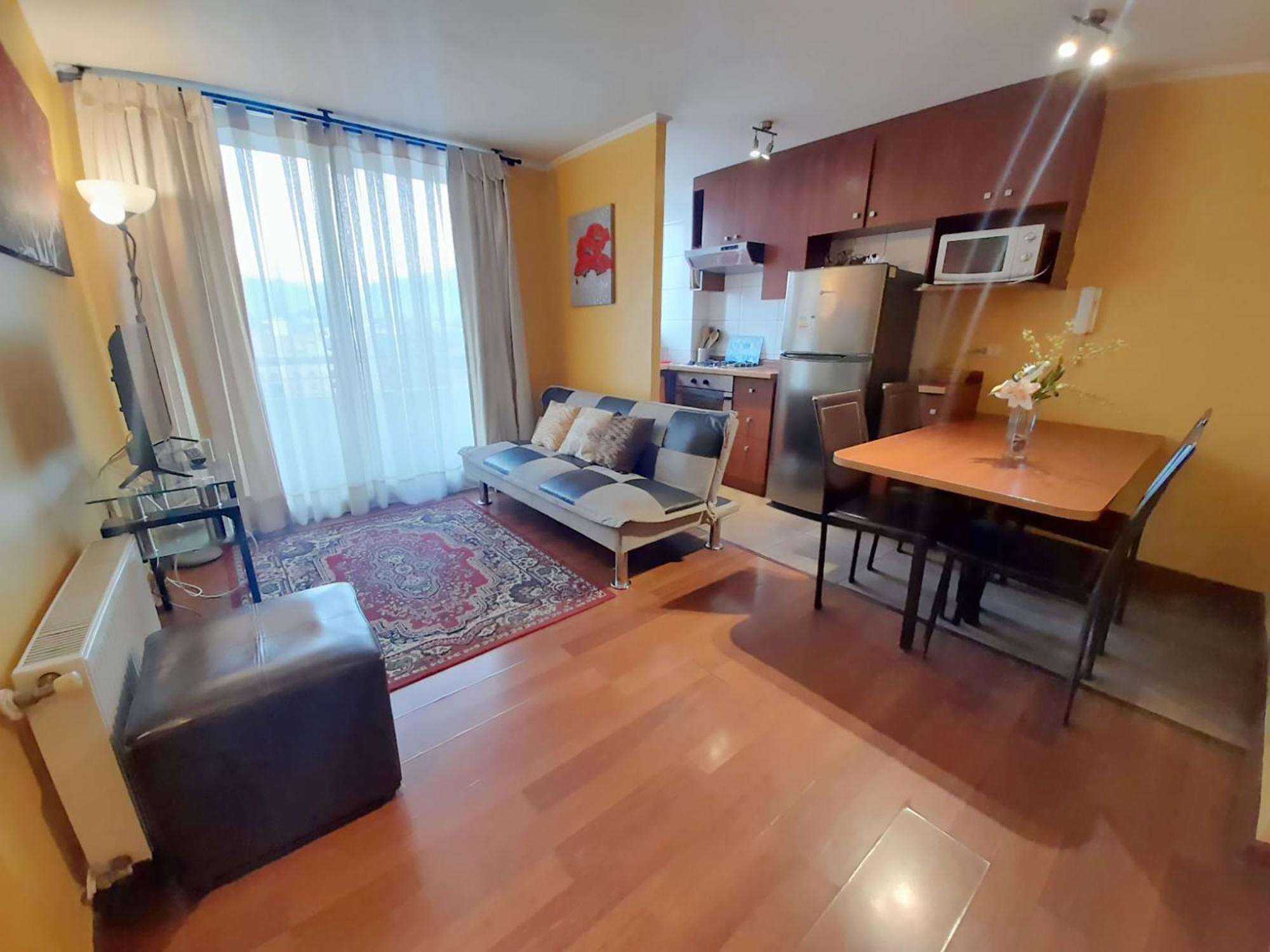 Vip Apartments Chile サンティアゴ エクステリア 写真