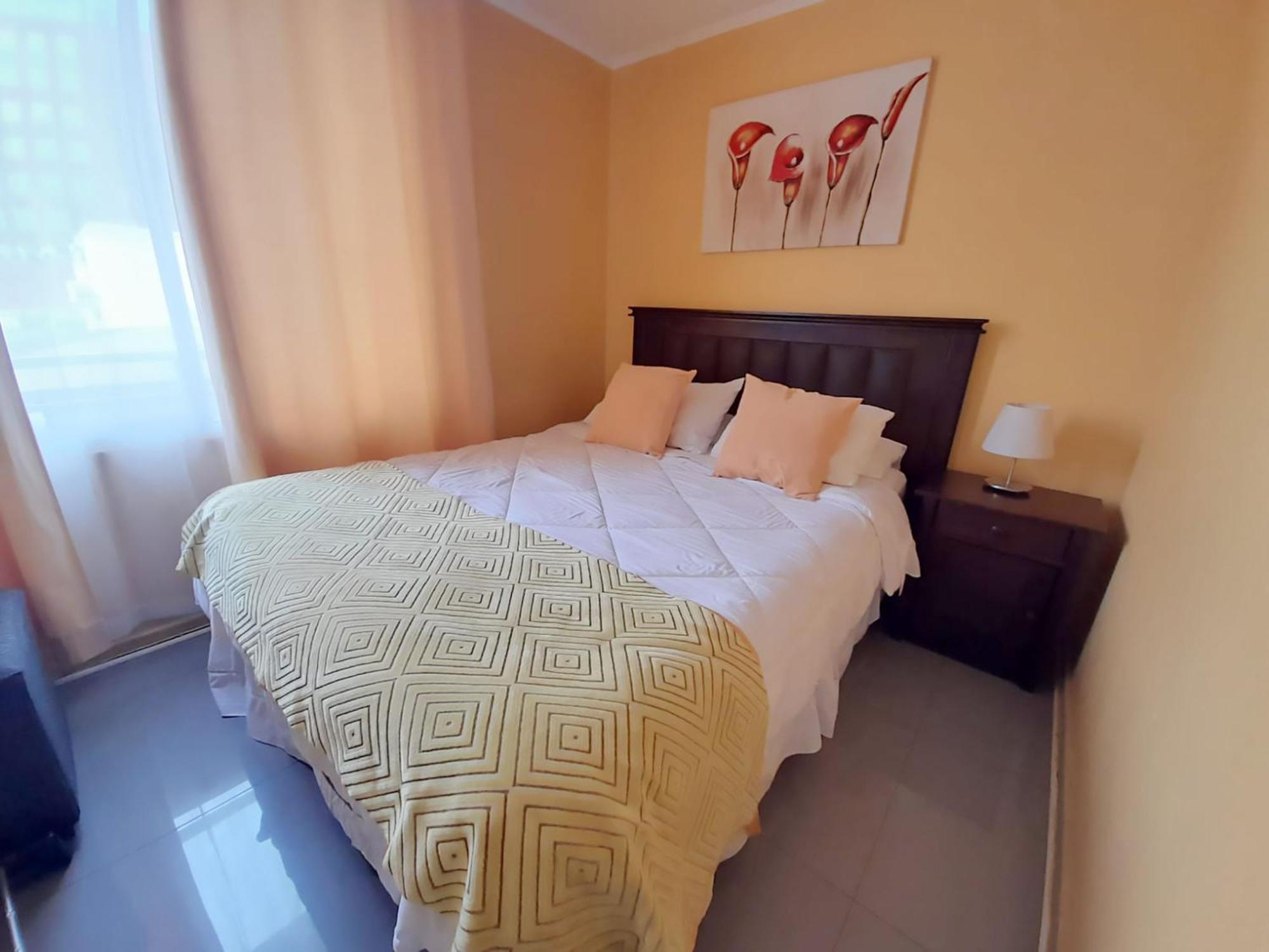 Vip Apartments Chile サンティアゴ エクステリア 写真