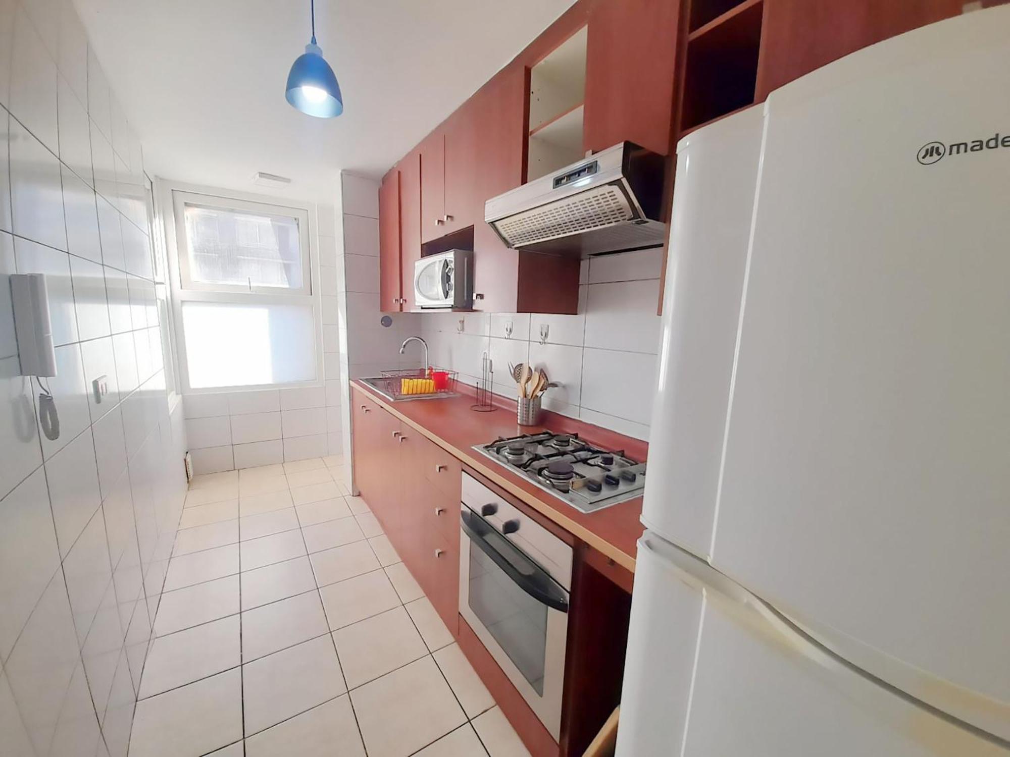 Vip Apartments Chile サンティアゴ エクステリア 写真