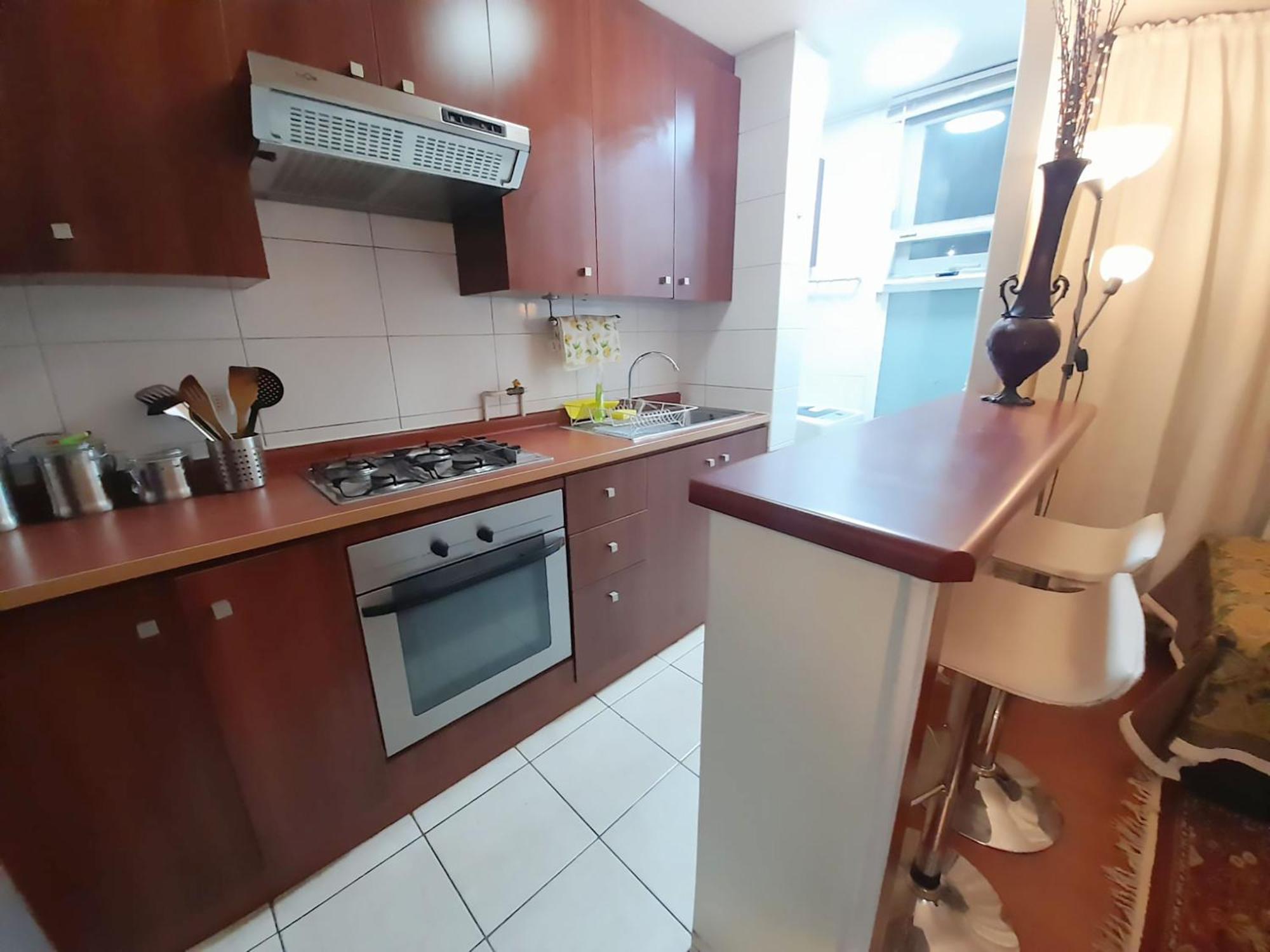 Vip Apartments Chile サンティアゴ エクステリア 写真
