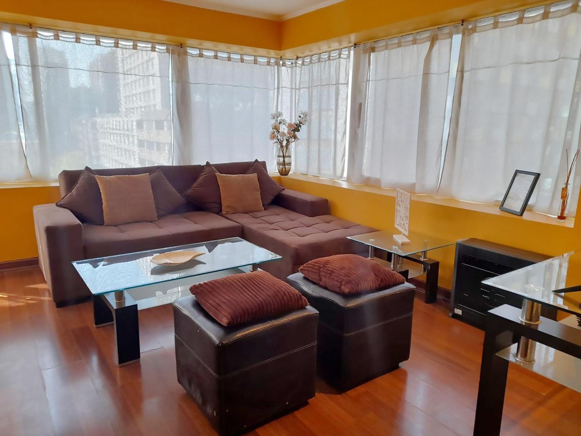Vip Apartments Chile サンティアゴ エクステリア 写真